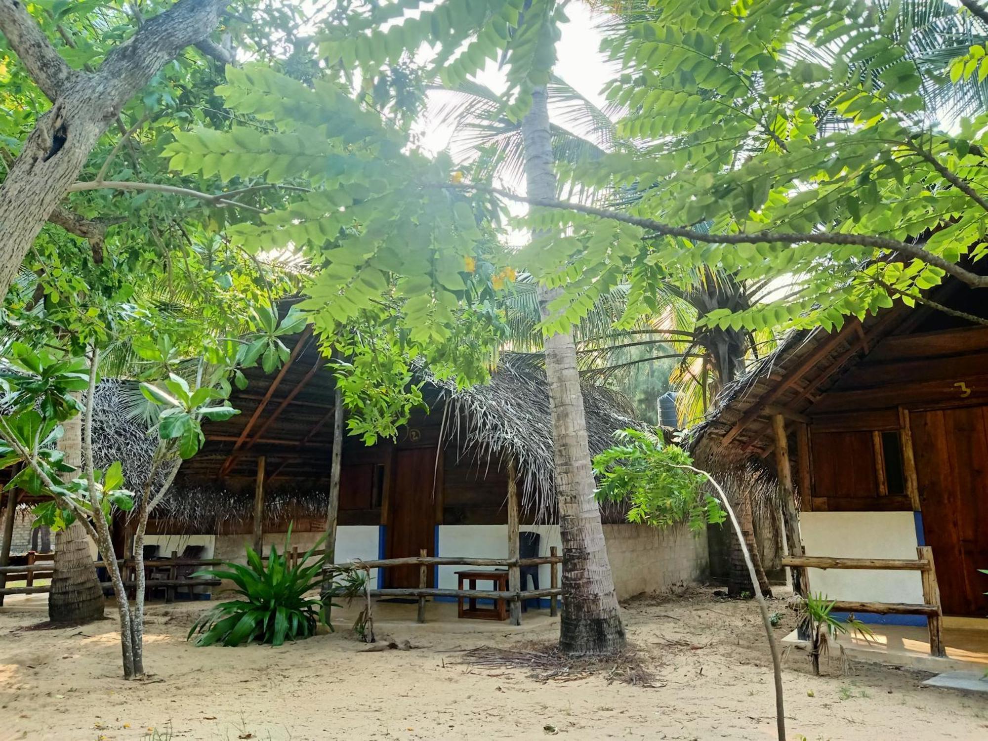 Sand Dune Beach Resort & Surf Camp Arugam Kudah Eksteriør bilde