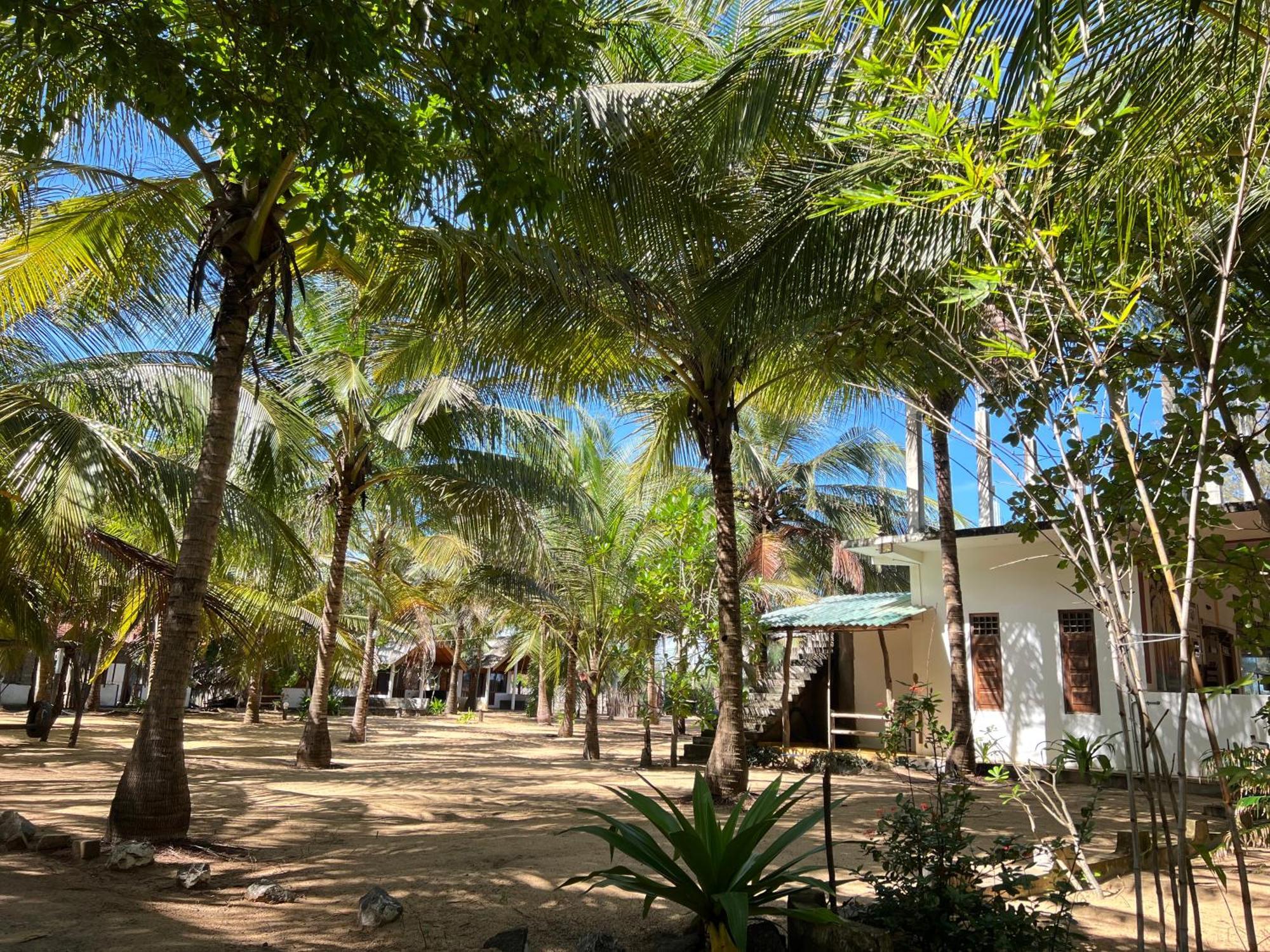 Sand Dune Beach Resort & Surf Camp Arugam Kudah Eksteriør bilde