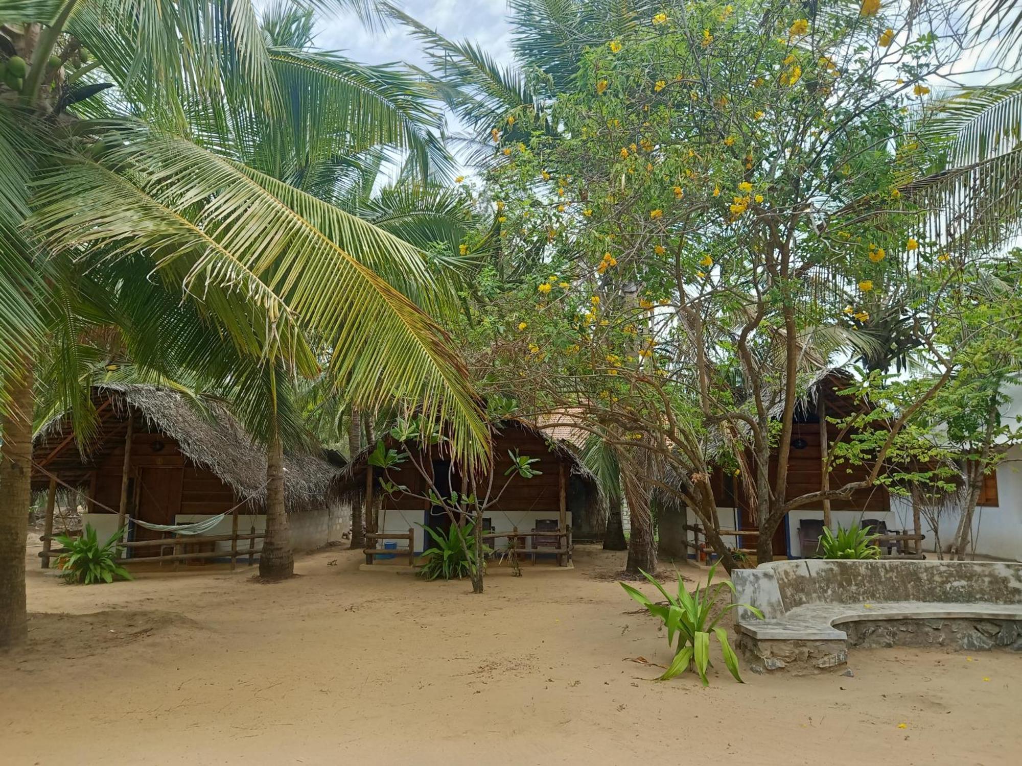 Sand Dune Beach Resort & Surf Camp Arugam Kudah Eksteriør bilde