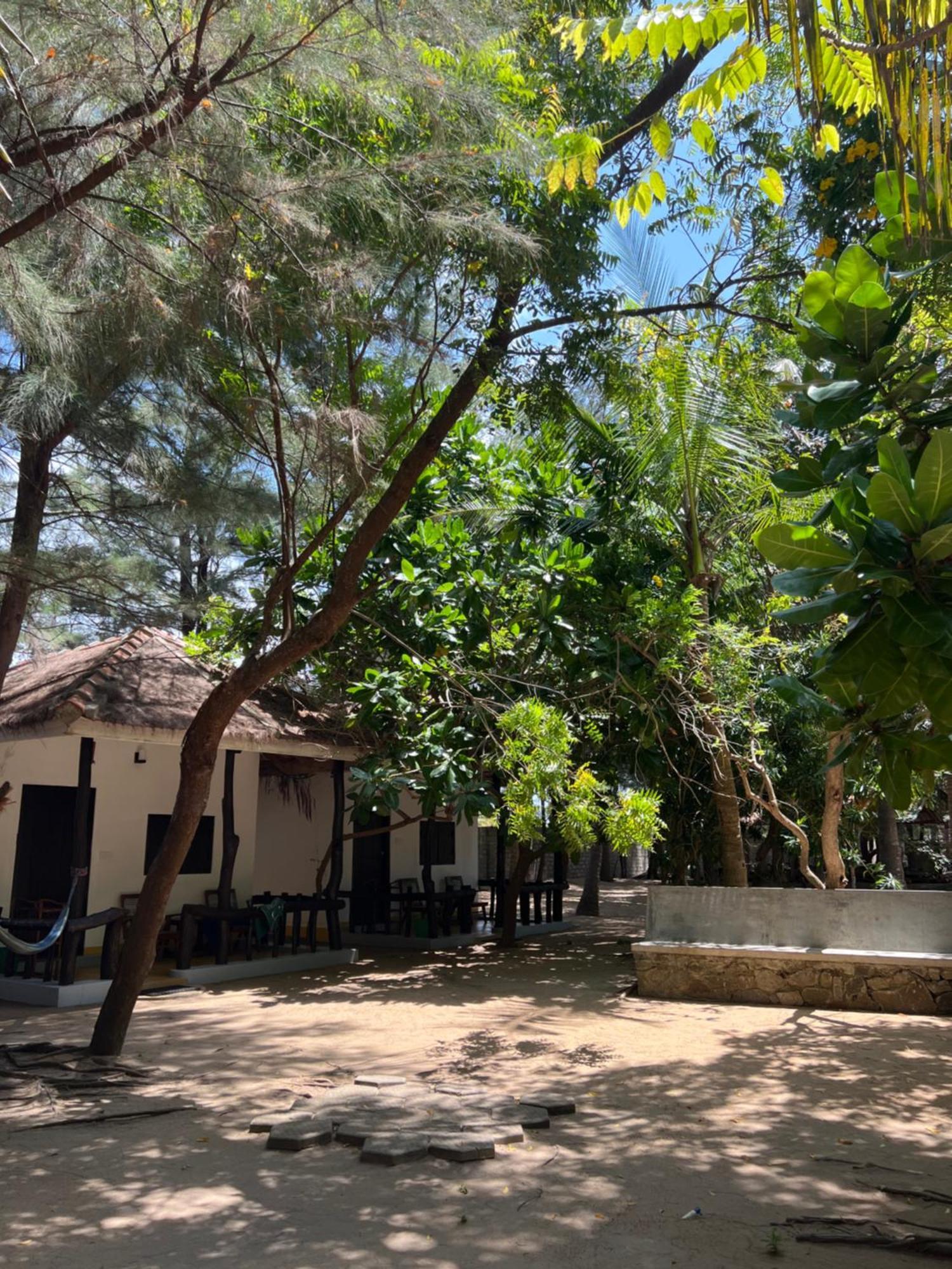Sand Dune Beach Resort & Surf Camp Arugam Kudah Eksteriør bilde